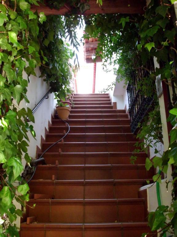 Pension Barrio ฟูเอนเตรีโดส ห้อง รูปภาพ